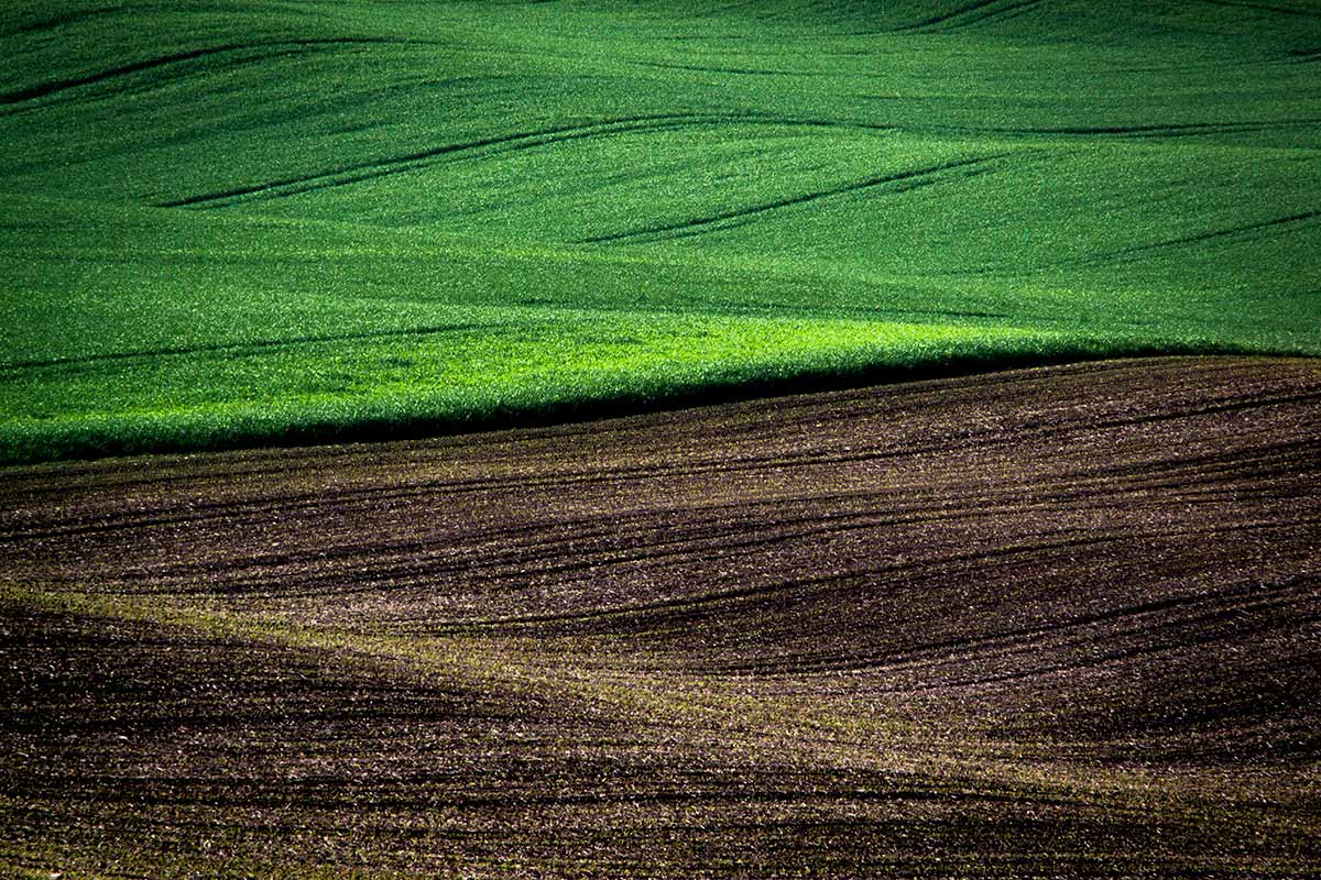 rational-sustainability