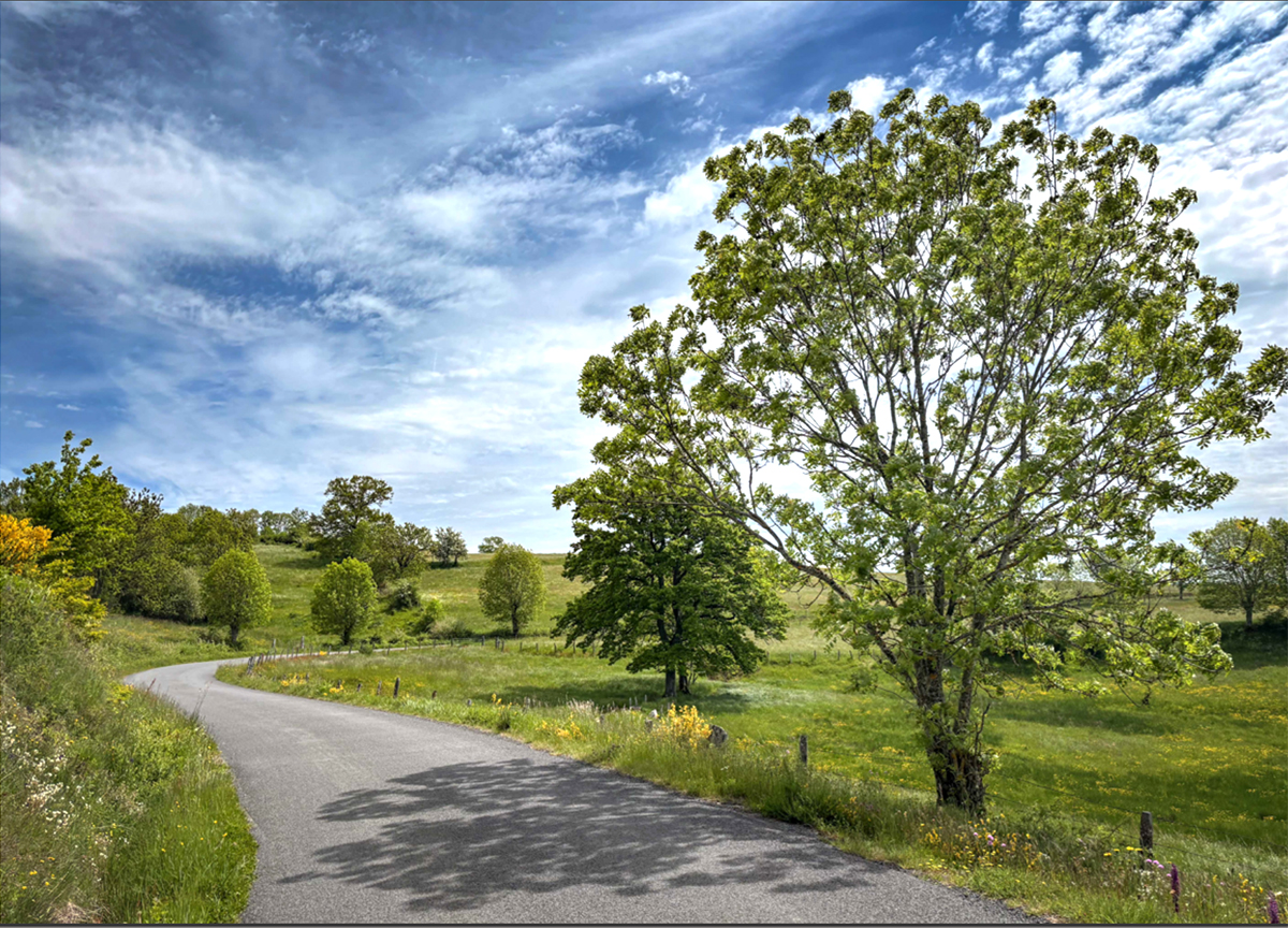 auvergne_landscape