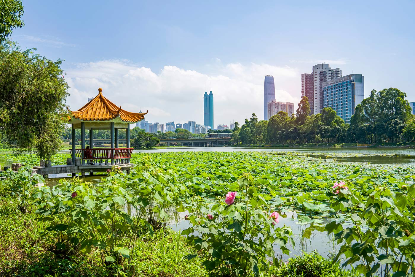 The Asia-Pacific region is rapidly emerging as a strategic growth market for climate finance and clean technology