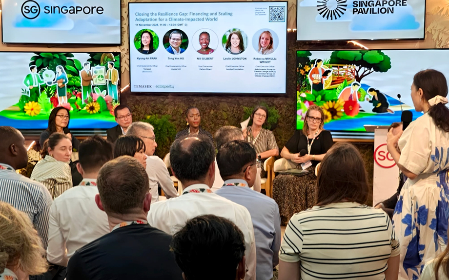 A discussion hosted by Temasek on building climate resilience in the Asia-Pacific region.