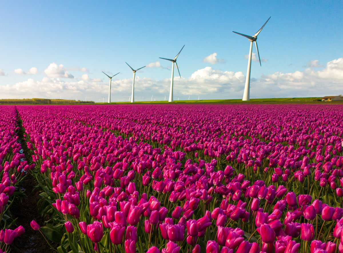 What we're reading March