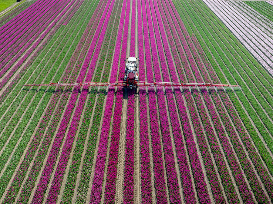 agriculture_fertilizer