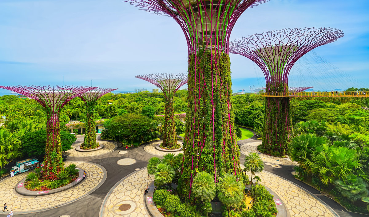 singapor_tree_park