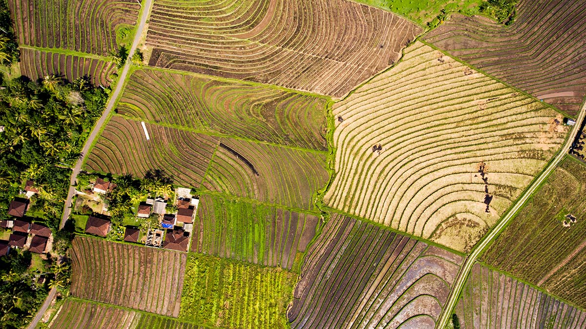 hong-kong-plantations-from-air