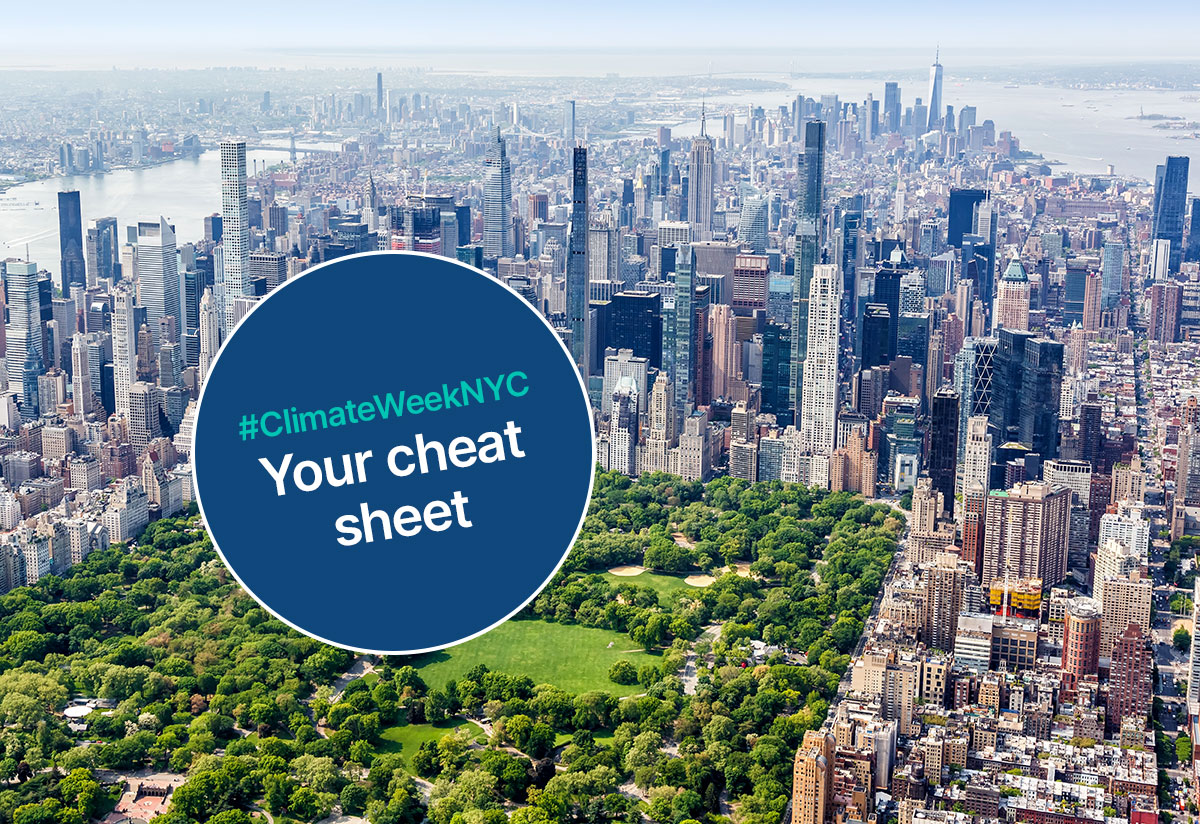 nycw-cheat-sheet-image-2